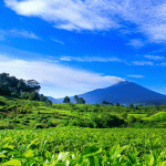 5 Rekomendasi Tempat Wisata di Solok Layak Dikunjungi